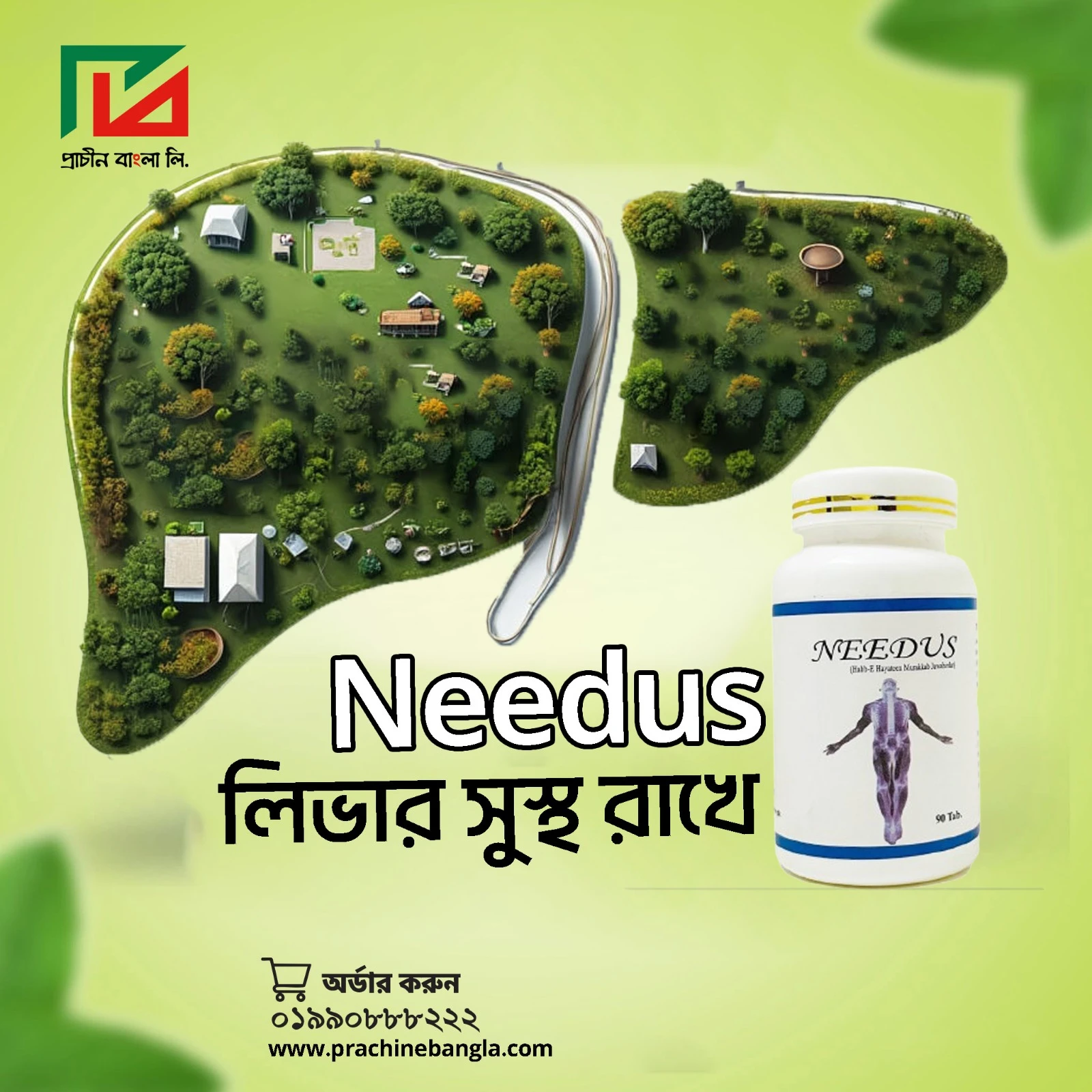 বাংলাদেশে দূষণ ও রোগবিস্তার: প্রাকৃতিকভাবে শরীর ডিটক্স করার বৈজ্ঞানিক উপায়